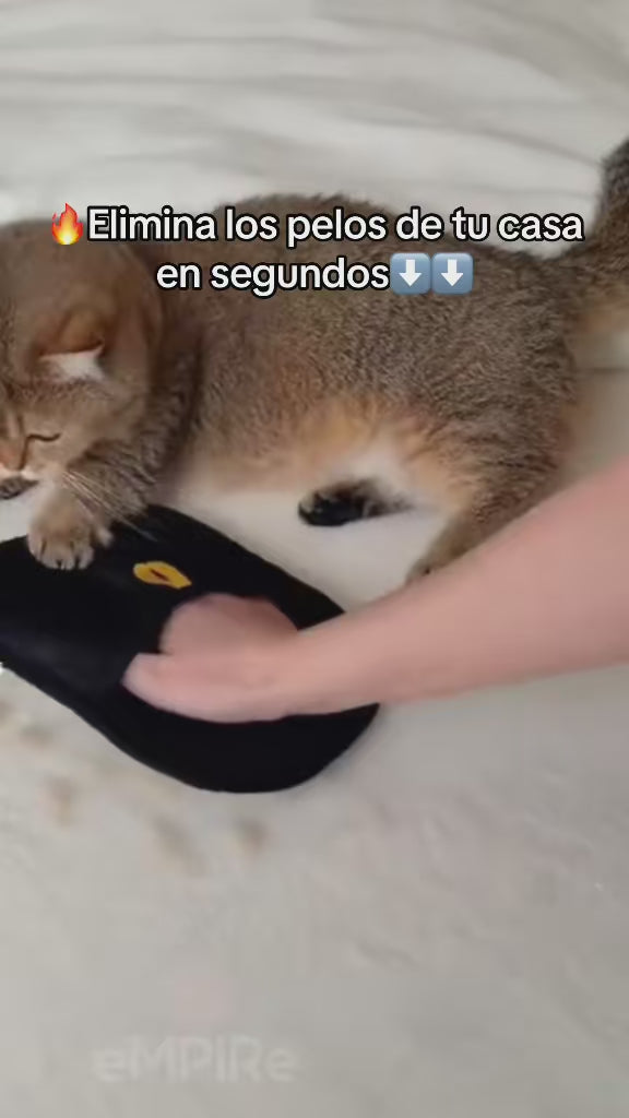 Guante Quita Pelos Para Mascotas🐈 | Perros y Gatos🐾